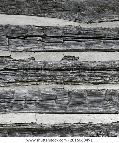 A vertical close up of a weathered log cabin wall made of flat dried logs with cracks, splintering, raised wood grain, knots, and visible cut marks. The chinking fills the gaps between the logs and shows cracking, chipping, and an area of decay in one of the logs.