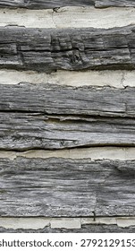 A vertical close up of weathered square logs and cracked chinking showing dry splintered wood with grain, knots, knot holes, and bent rusty nails. The chinking is thick, wide, and cracked, filling the gaps between the logs under even outdoor lighting.
