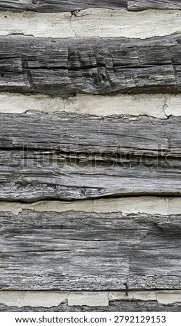 A vertical close up of weathered square logs and cracked chinking showing dry splintered wood with grain, knots, knot holes, and bent rusty nails. The chinking is thick, wide, and cracked, filling the gaps between the logs under even outdoor lighting.