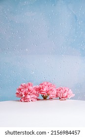 A vertical closeup of pink flowers on a table on a blue background of waterdrops