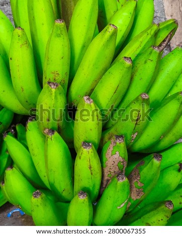 A vertical close-up shot looking down at a cluster of vibrant green bananas, highlighting the distinct dark brown tips of each fruit and some minor cosmetic scars on their skins.