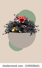 Vertical Collage Picture Of Painted Flower Pot Plant Eyes Inside Isolated On Drawing Creative Background