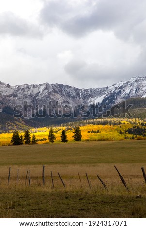 Vertical Colorado landscape with rickety fence and land featuring group of green coniferous trees, yellow trees and background of mountains and cloudy sky