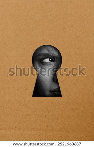 Vertical composite artwork collage image picture of woman eye look through keyhole isolated on creative background