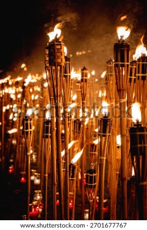 Vertical Composition of Burning Torches at Night — Memorial Firelight Ceremony