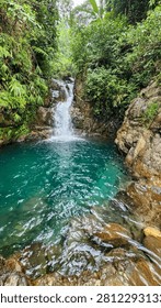 Vertical composition featuring a hidden jungle waterfall flowing into a calm emerald natural pool.