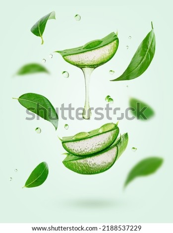 Vertical composition of flying tea leaves and aloe vera on green background. High quality photo