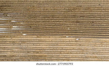 Vertical drone perspective revealing parallel plowed soil beds partly submerged in shimmering water highlighting the intense preparation of agricultural land for new seeds