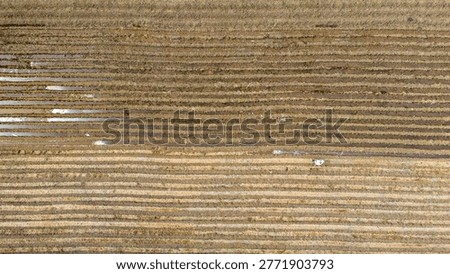 Vertical drone perspective revealing parallel plowed soil beds partly submerged in shimmering water highlighting the intense preparation of agricultural land for new seeds