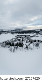 Vertical drone view of sparse winter forest and mountains