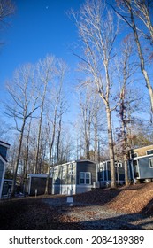 Vertical Fall Trees And Blue Sky In Travelers Rest. Tiny House Community