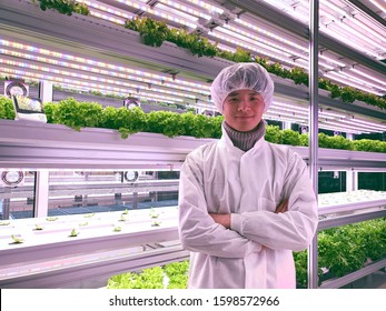 Vertical Farm(indoor Farm) Researcher Takes Care Of Vegetables Growing On Vertical Farm. Vertical Farming Is Sustainable Agriculture For Future Food.