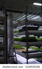 Vertical Farming Requires Pharmaceutical Grade Sanitation To Protect Plants And Consumers