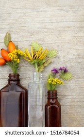 Vertical flat lay (background) of small glass bottles holding small flowers, seedheads, and rose hips, with copy space
