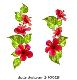ハイビスカス 葉っぱ の写真素材 画像 写真 Shutterstock