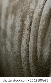 vertical folds of rhinoceros skin with dried mud cracking on the skin, some folds in sharp focus while those on the edges have soft focus