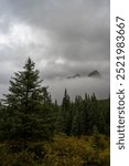 A vertical format image of a large mountain enclosed in thick cloud with an evergreen forest in the foreground.  Castle mountain Banff National Park.
