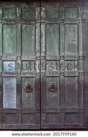 Vertical front view of two massive bronze and copper doors with green tint, knockers in shape of lions.