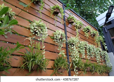 Vertical Garden