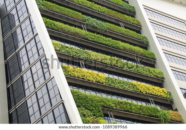 vertical garden a concept of sustainable\
building, eco building landscape climbing\
plants