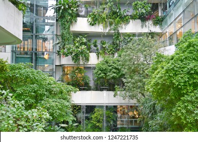 Vertical Garden With Green Trees On The Building. Green Building, Eco Friendly Business Concept.