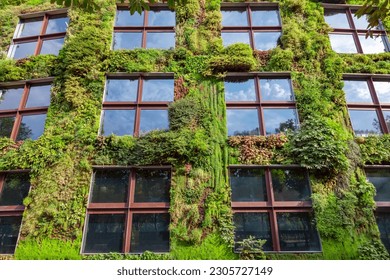 Vertical garden on the wall of a building - Powered by Shutterstock