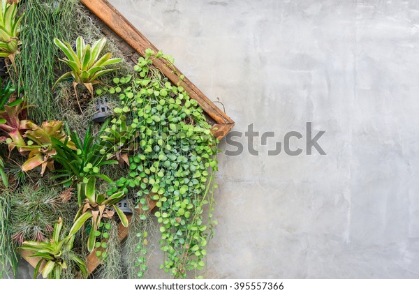 Vertical\
garden in a wooden planter box at the\
wall