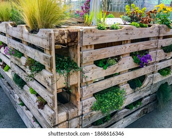 vertical gardening -  pallet garden beds with flower, herbs, salad - Powered by Shutterstock