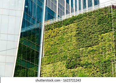 Vertical Grass Garden - Office Building Exterior Design