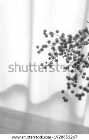 Similar – Image, Stock Photo A little flower. Nature