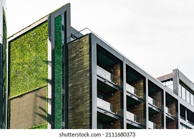 Vertical Green Garden Installed On The Facade Of Stylish Black On A Building With Horizontal Battens. Glass Balconies. Environment. Grass. Futuristic Architecture. Design. Ecological. Solution. Eco