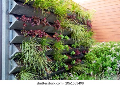 Vertical green wall garden made from recycled waste plastics on behalf of climate adaptation - Shutterstock ID 2061533498