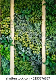 Vertical green wall with wooden fence background, Artificial decorative interior wall. Close up variety leaves backdrop. - Shutterstock ID 2153876857