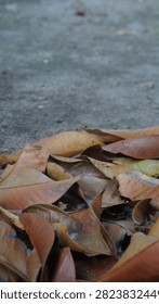 A vertical ground-level shot capturing a pile of dried brown and yellow withered leaves in sharp focus. The composition showcases a strong shallow depth of field with a beautifully blurred sandy soil background on the upper half, providing excellent copy space for autumn seasonal branding, rustic nature backgrounds, and poetic text overlays.