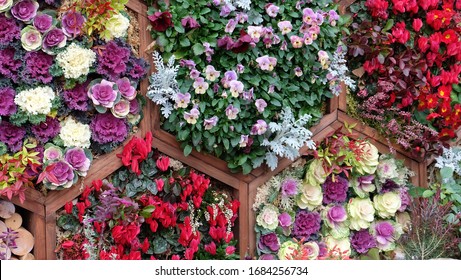 Vertical hexagon planter boxes, with a variety of colorful flowers planted.