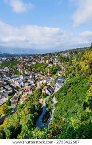 Vertical high angle view of the capital city Vaduz featuring residential houses, hillside vineyards, and the Rhine Valley in Liechtenstein