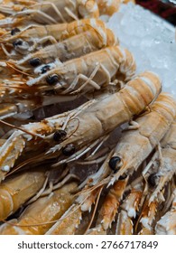 A vertical, high-angle close-up photograph capturing several fresh, raw whole scampi (Nephrops norvegicus) presented on a cooling bed of crushed ice within a seafood market display. The image clearly shows the delicate orange and red tones of their exoskeletons, long antennae, and detailed compound eyes. These premium, high-quality crustaceans are ready for culinary preparation and look plump and appetizing. This exotic ingredient is a staple of gourmet Mediterranean and European cuisine, known for its delicate sweet meat. Ideal for seafood restaurant menus, healthy eating blogs, culinary education materials, luxury food magazines, supermarket advertising, and Mediterranean diet promotions. The photograph emphasizes freshness, quality, and the abundance of premium marine products in a commercial retail environment, appealing to both professional chefs and discerning home cooks.