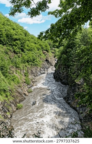 Vertical high-angle shot showcasing structural geology and V-shaped valley development in a deep granite canyon. The scene illustrates intense fluvial vertical erosion through an ancient crystalline bedrock massif during tectonic uplift. Steep jointing cliffs are densely covered with temperate mixed forest canopy. The powerful muddy mountain river rapid flows heavily down the narrow gorge channel. Ideal scientific educational resource and textbook illustration for geomorphology, petrology, river dynamics, and earth science. Framed by green leaves in the upper foreground