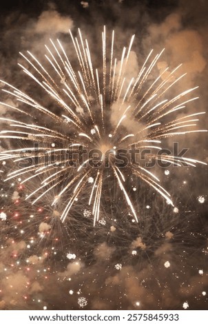 Vertical Horizon Golden Firework Countdown to new year 2025 party time event anniversary independence day night time celebrate national holiday. Happy new year 2025, 4th of july holiday festival