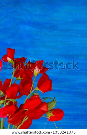 Similar – rote Blumen an gelber Wand, portugalisch