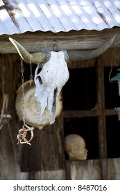 Vertical Image Of A Cajun House In A Bayou Near New Orleans