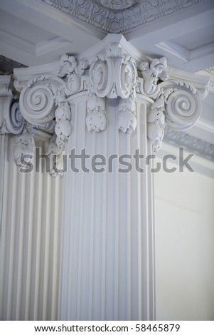 Vertical image of a Greek or Roman style column in the Ionic tradition.