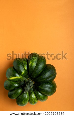 Vertical image of green pumkin on the empty orange background.Empty space
