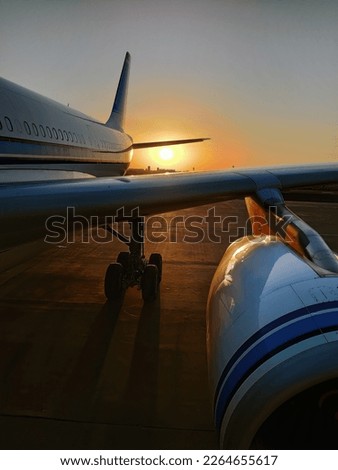 Vertical image, Silhouette of a passenger airplane landing on the airport apron against the backdrop of the picturesque orange sunset sky