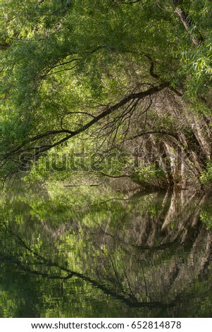 Similar – Foto Bild ‚Der da oben‘ is watching you