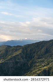 A vertical landscape view of the distant, snow-capped Dhauladhar mountain range, featuring dense pine forests and steep hillside terrain under a cloudy sky in Himachal Pradesh, India.