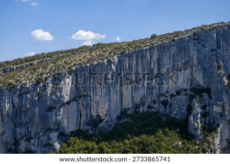 Vertical limestone cliffs rise dramatically above dense green forest in the Verdon Gorge, illuminated by midday sunlight with a few scattered clouds overhead.