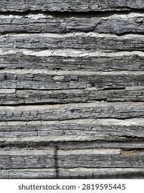 Vertical log cabin wall surface made of aged flat cut logs that are porous, dried, cracked, splintered, and naturally patina colored with strong grain and knots. The thick chinking is porous and cracked, fills the gaps between the logs, and has fallen away in places leaving visible openings.