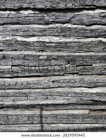 Vertical log cabin wall surface made of aged flat cut logs that are porous, dried, cracked, splintered, and naturally patina colored with strong grain and knots. The thick chinking is porous and cracked, fills the gaps between the logs, and has fallen away in places leaving visible openings.