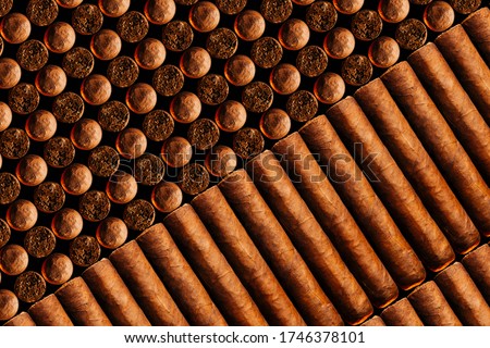 A vertical look of fresh hand-cooked new cigars.concept of a businessman's rich leisure.